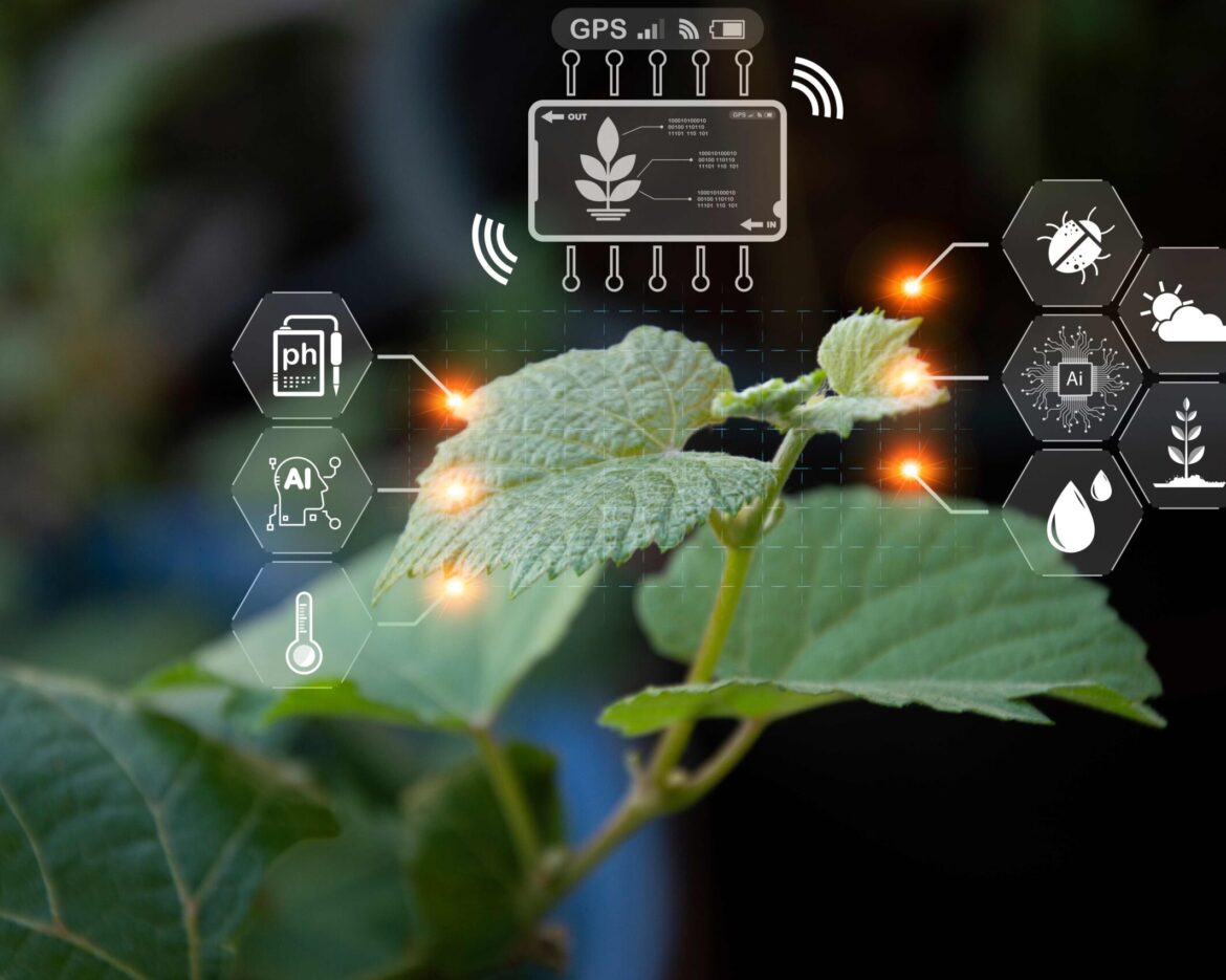 The concept of using AI and smart farming