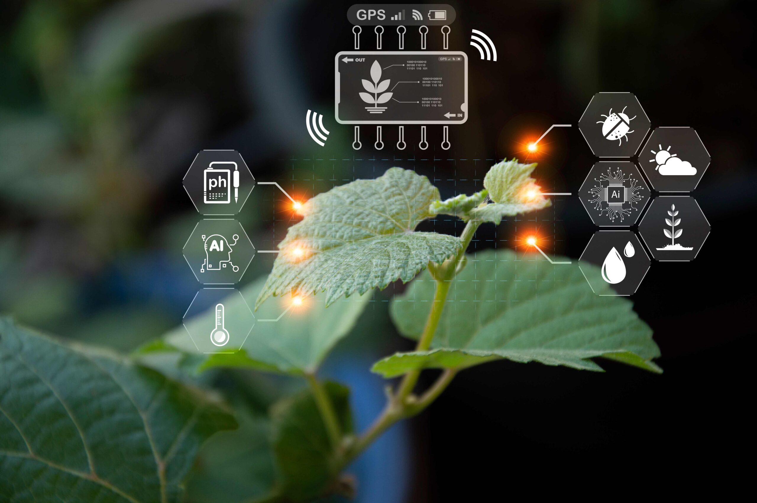 The concept of using AI and smart farming